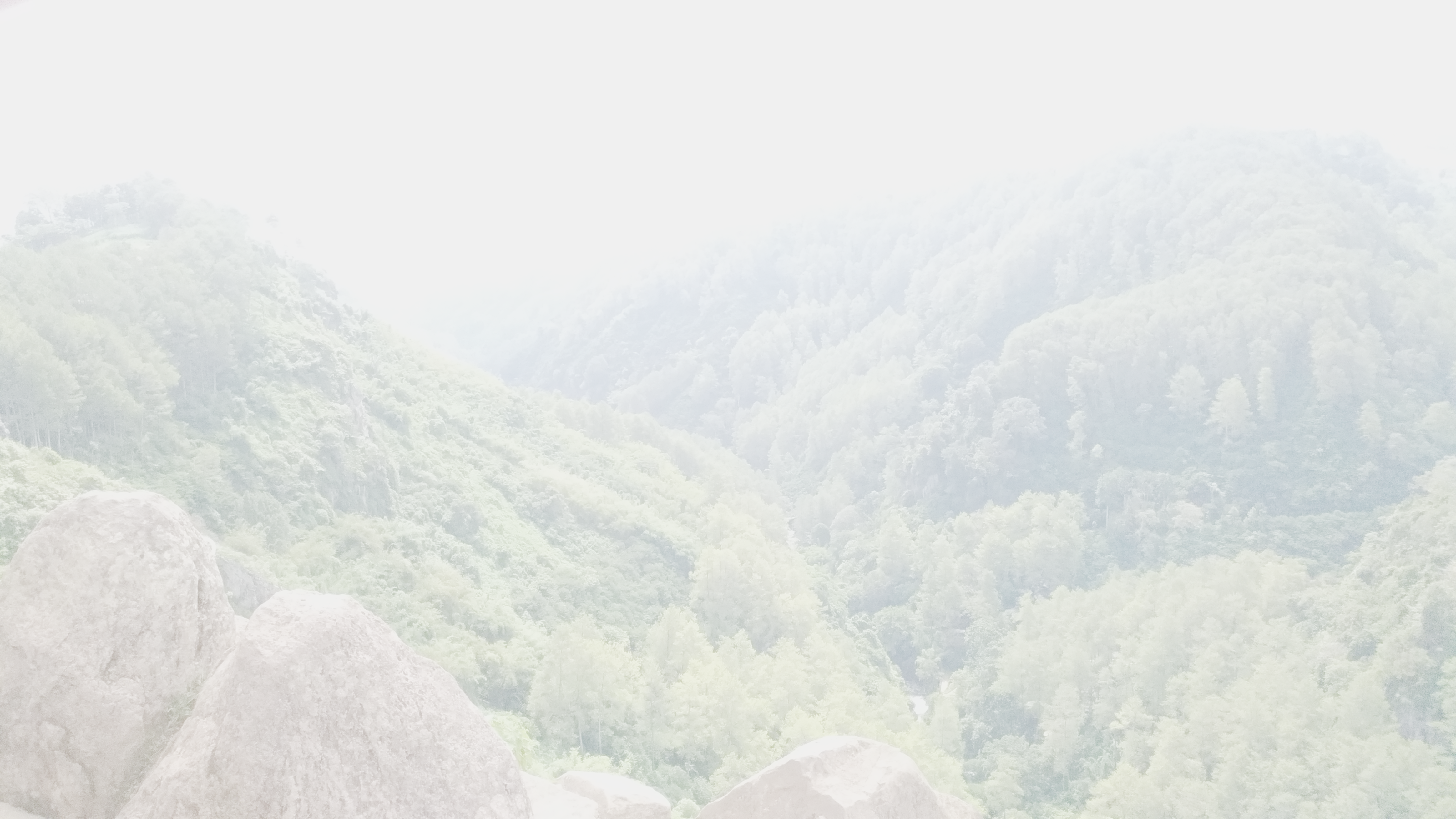 Output 4